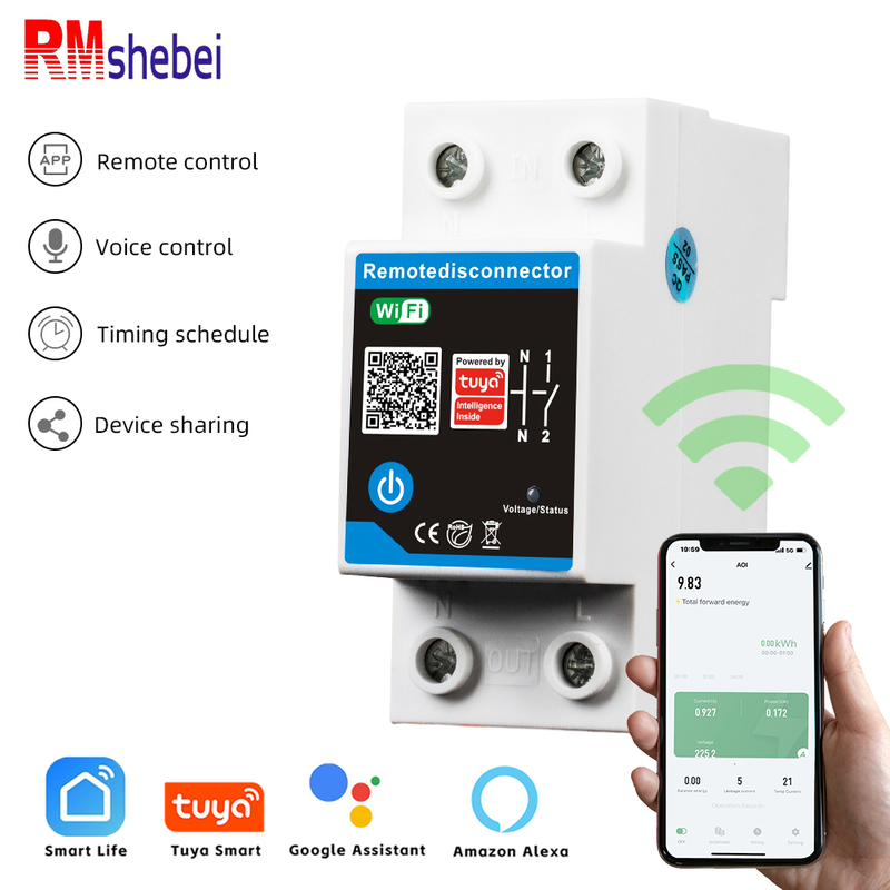 RMshebei Tuya WiFi wireless smart switch timer WTDZW-C 63A